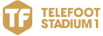 Programme TV telefootstadium1