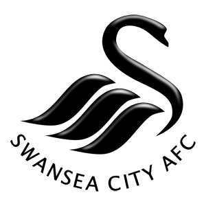 Places Swansea