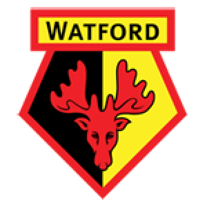 Programme TV Watford